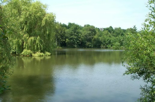 Bungalow Lake